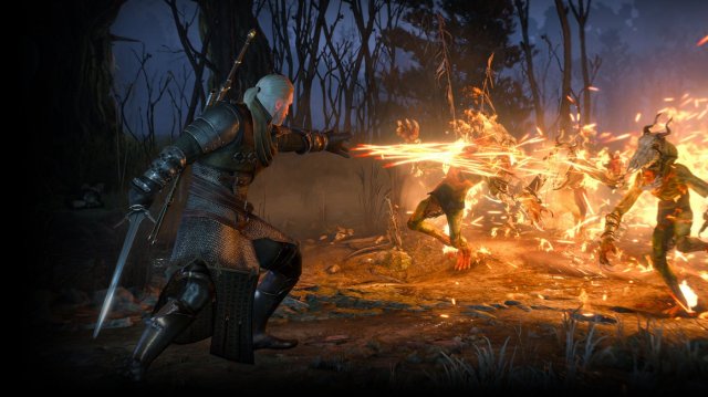 The Witcher 3: Wild Hunt - Immagine 150638