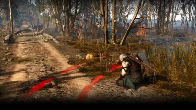 The Witcher 3: Wild Hunt - Immagine 150641