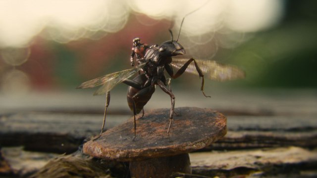 Ant-Man - Immagine 159158