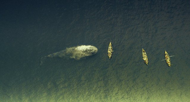 Heart of the Sea - Le Origini di Moby Dick - Immagine 171238