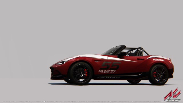 Assetto Corsa - Immagine 183993