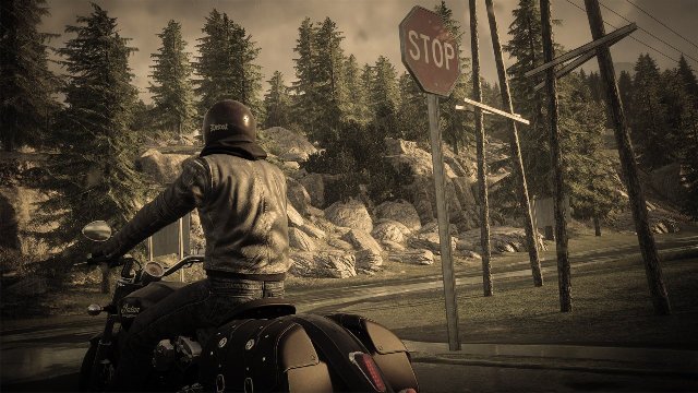 The Crew: Wild Run immagine 174010