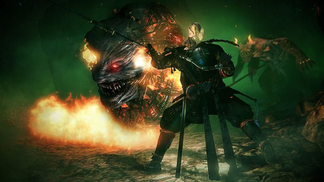 NiOh - Immagine 189223