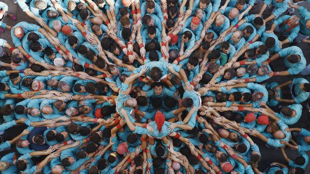 Human immagine 177418