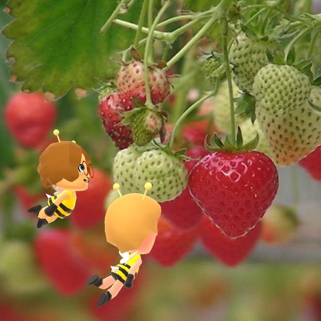 Miitomo - Immagine 177651