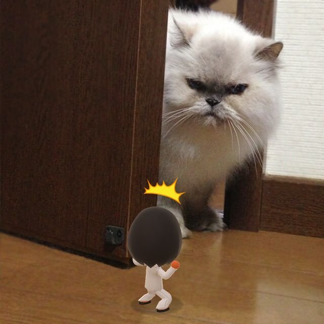 Miitomo - Immagine 177654