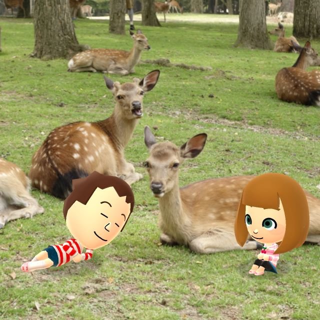 Miitomo - Immagine 177672