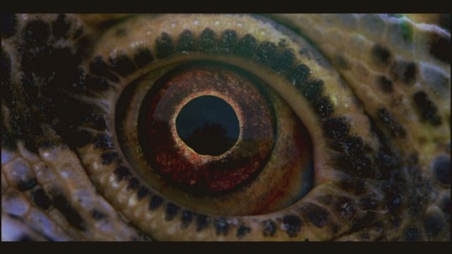 Voyage of Time - Immagine 179033