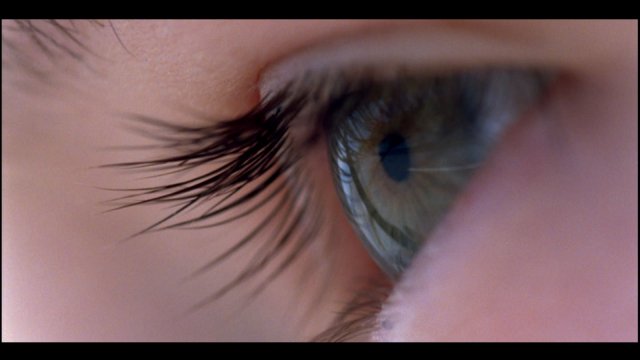 Voyage of Time - Immagine 179034