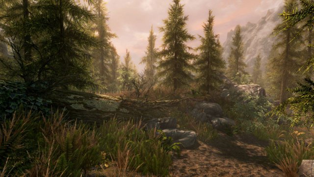 The Elder Scrolls V: Skyrim - Special Edition immagine 186334