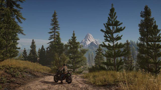 Days Gone - Immagine 192049