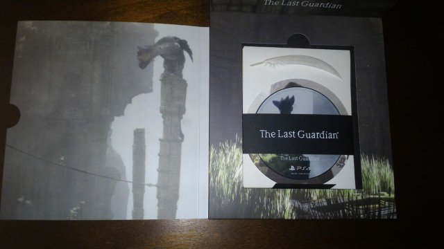 The Last Guardian immagine 197142