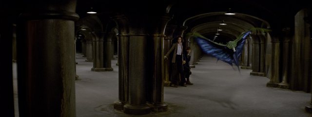 Animali Fantastici e Dove Trovarli immagine 196289
