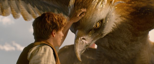 Animali Fantastici e Dove Trovarli immagine 196290