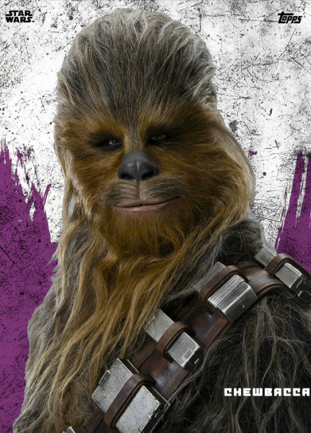 Star Wars: Gli Ultimi Jedi - Immagine 204534