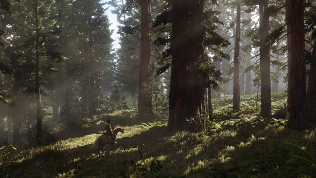 Red Dead Redemption 2 - Immagine 202065