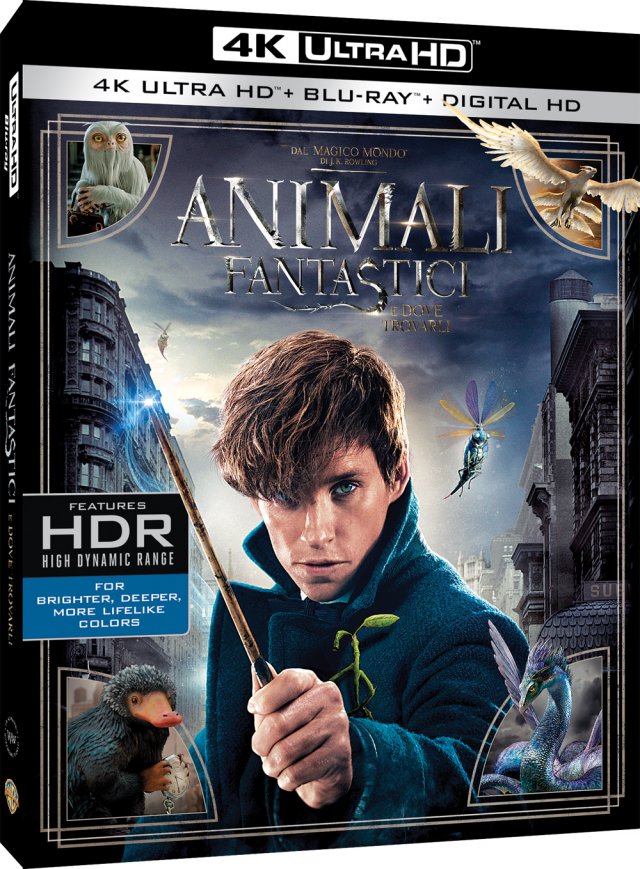 Animali Fantastici e Dove Trovarli immagine 198894