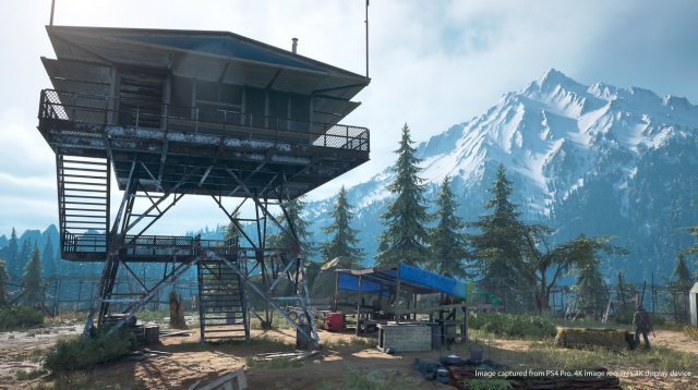 Days Gone - Immagine 209730