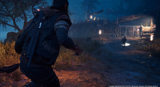 Days Gone - Immagine 209734