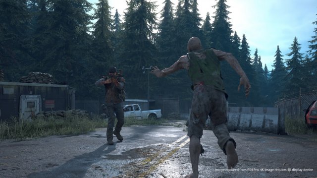 Days Gone - Immagine 209736