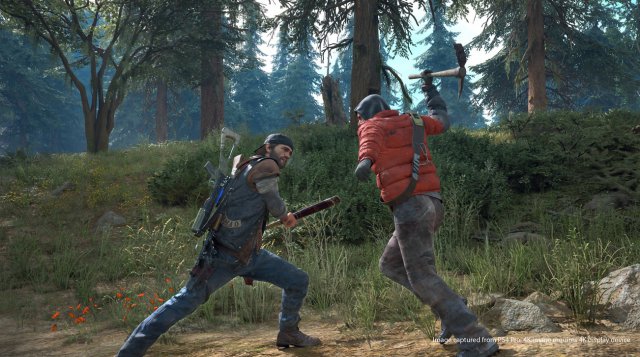 Days Gone - Immagine 209737