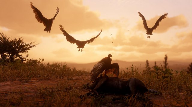 Red Dead Redemption 2 immagine 211848
