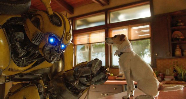 Bumblebee - Immagine 213621