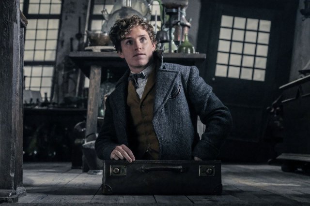 Animali fantastici: i crimini di Grindelwald immagine 212575