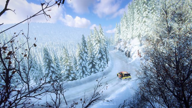 DiRT Rally 2.0 immagine 216325