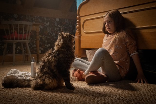 Pet Sematary immagine 218478