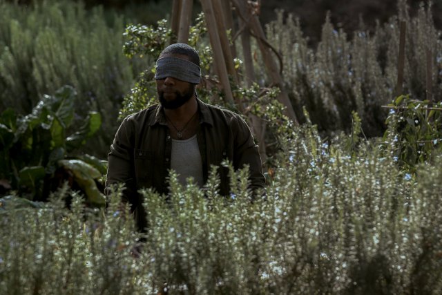 Bird Box - Immagine 213953