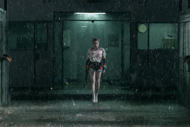 Birds of Prey  (e la fantasmagorica rinascita di Harley Quinn) immagine 222251